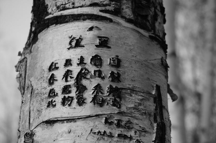Historia y características de un haiku, la poesía japonesa